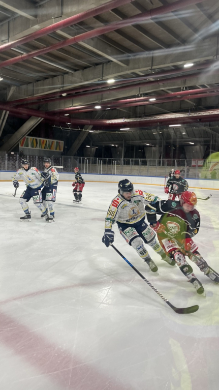 Spielbericht FASS Berlin – Tornado Niesky