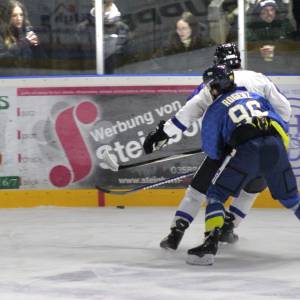 2026-01-31_rlo_63_original