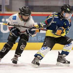 2026-01-31_u11_2_original